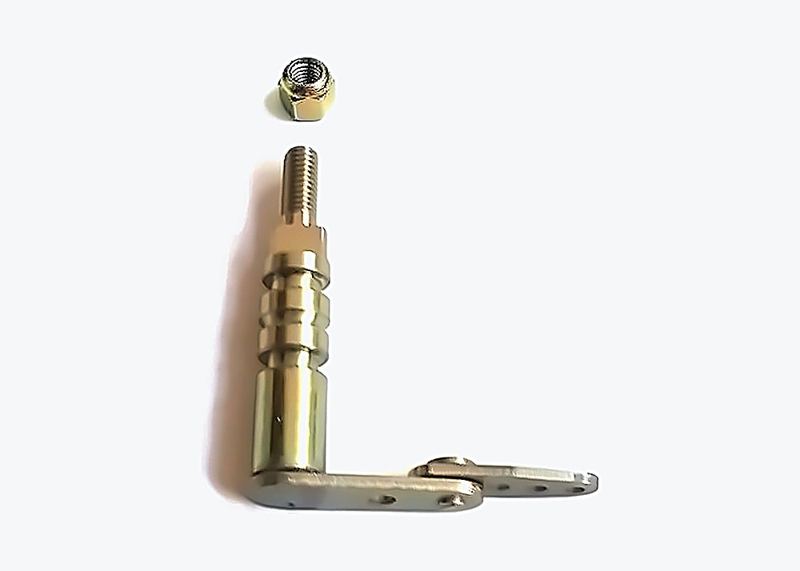 Throttle shaft